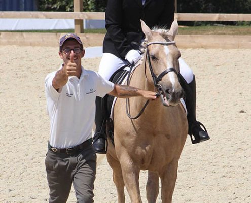 Riding Lessons