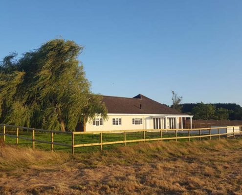 The Orchard