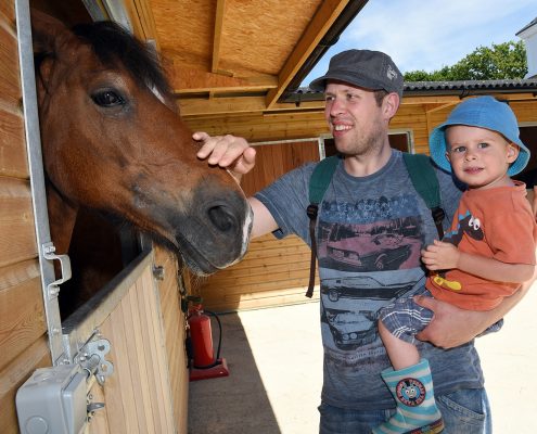 Island Riding Centre Open Day