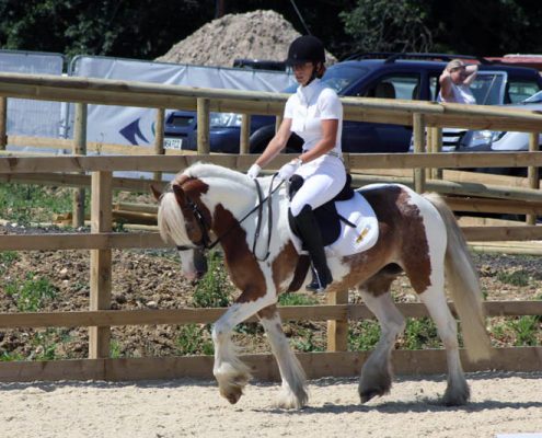 Dressage