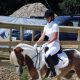Dressage