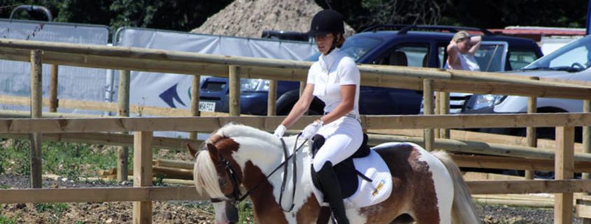 Dressage