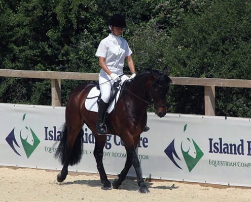 Dressage