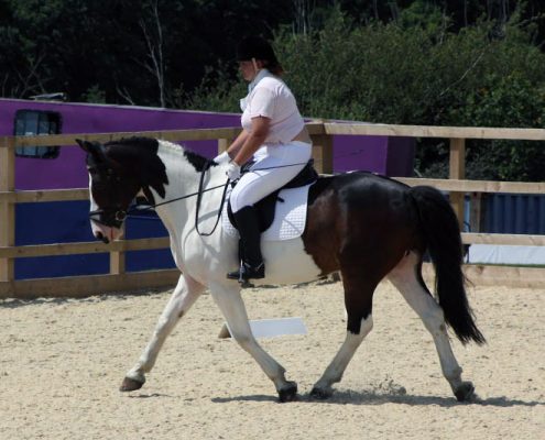Dressage