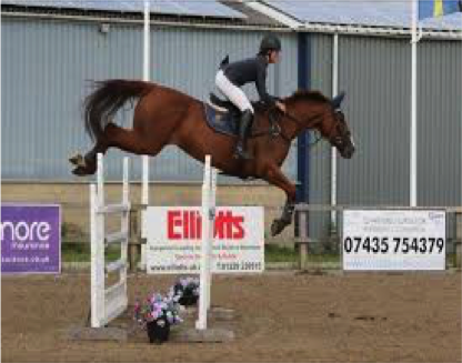 Show Jumping