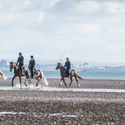 Beach Riding