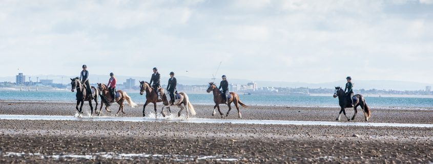 Beach Riding