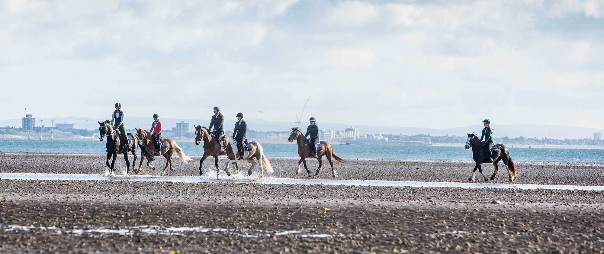 Beach Riding