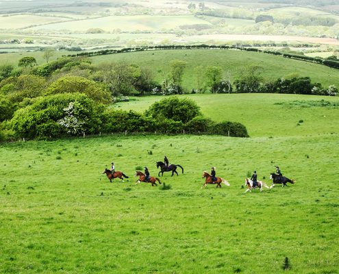 Trail Riding